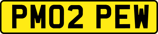 PM02PEW