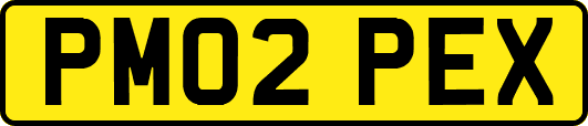 PM02PEX