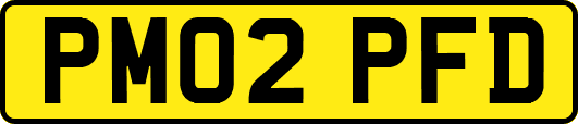 PM02PFD