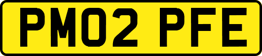 PM02PFE