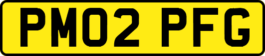 PM02PFG