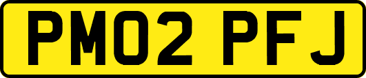 PM02PFJ