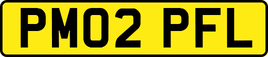 PM02PFL