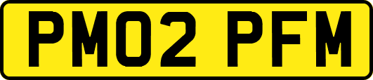 PM02PFM