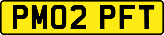 PM02PFT