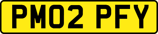 PM02PFY
