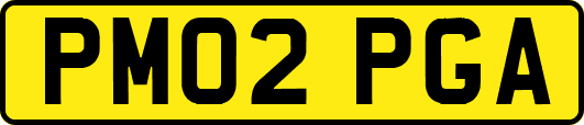 PM02PGA
