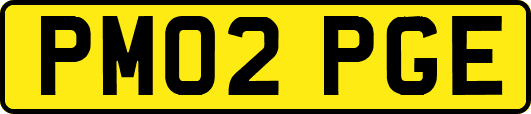 PM02PGE