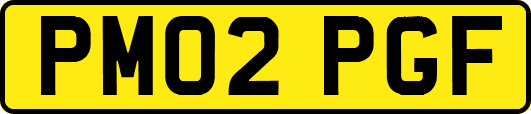 PM02PGF