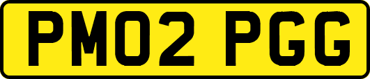 PM02PGG
