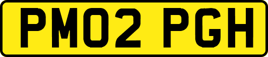 PM02PGH
