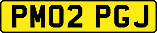 PM02PGJ