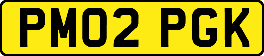 PM02PGK