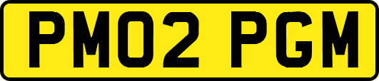 PM02PGM