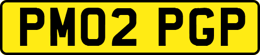 PM02PGP