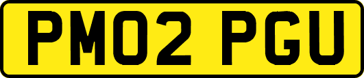 PM02PGU