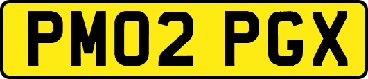 PM02PGX