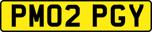 PM02PGY