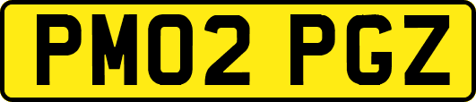 PM02PGZ