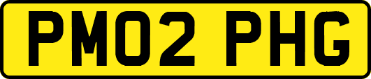 PM02PHG