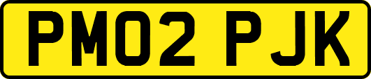 PM02PJK