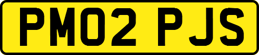 PM02PJS