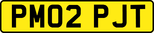 PM02PJT