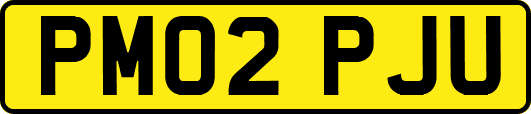 PM02PJU