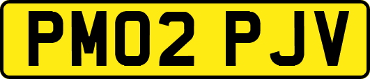 PM02PJV
