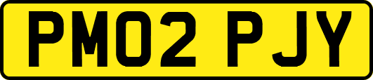 PM02PJY