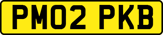 PM02PKB