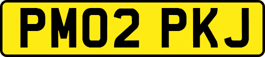PM02PKJ
