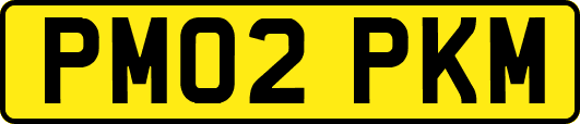 PM02PKM