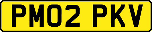 PM02PKV
