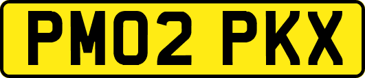 PM02PKX
