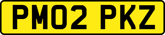 PM02PKZ