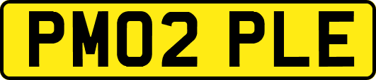 PM02PLE