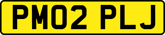 PM02PLJ