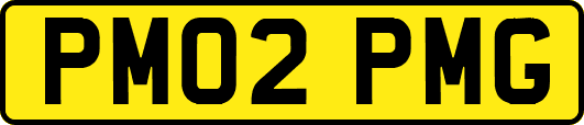PM02PMG