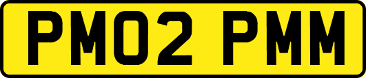 PM02PMM