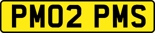 PM02PMS