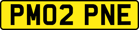 PM02PNE