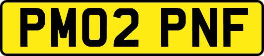 PM02PNF