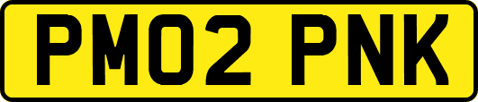 PM02PNK