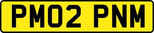 PM02PNM
