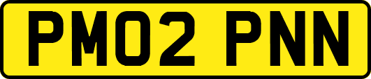 PM02PNN