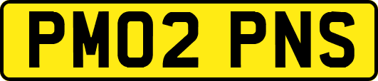 PM02PNS