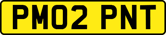 PM02PNT