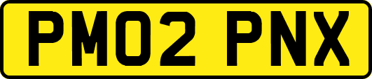 PM02PNX