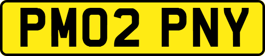 PM02PNY